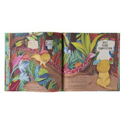 Lion Learns a Lesson (hardback)